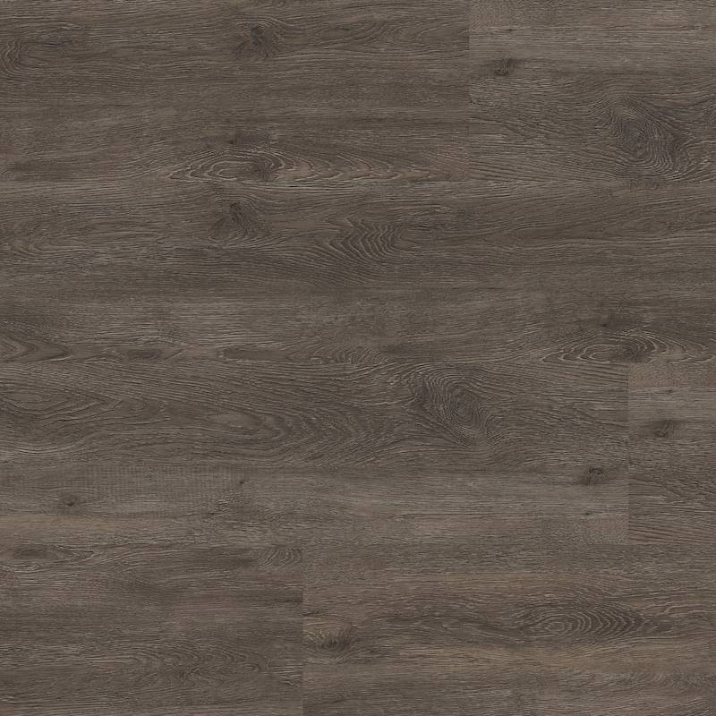 Supremo dryback dark grey